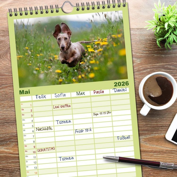 Produktbild: Familienplaner 2026 - DACKEL... wissen was sie wollen... (und was nicht...) mit 5 Spalten (Wandkalender, 21 x 45 cm) CALVENDO