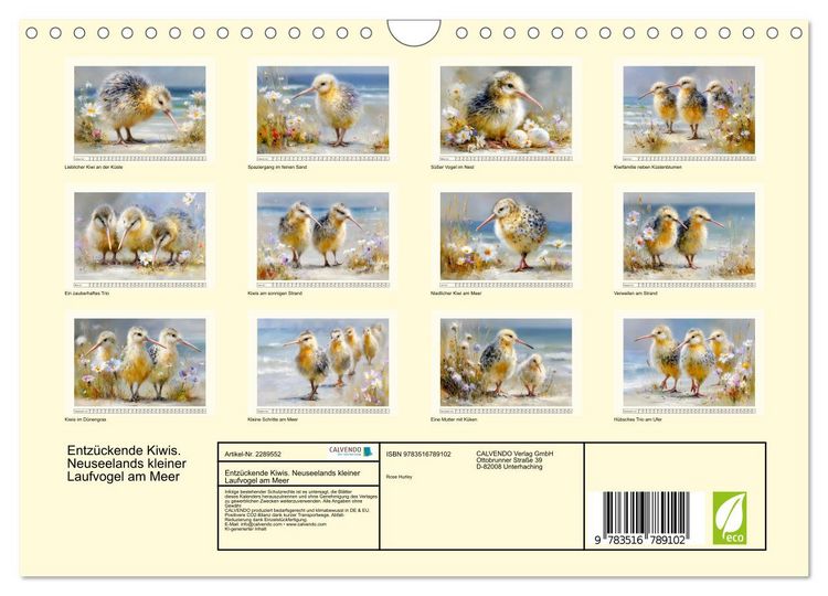 Produktbild: Entz&uuml;ckende Kiwis. Neuseelands kleiner Laufvogel am Meer (Wandkalender 2027 DIN A4 quer), CALVENDO Monatskalender