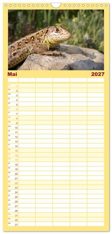 Produktbild: Familienplaner 2027 - Minisaurier im Garten mit 5 Spalten (Wandkalender, 21 x 45 cm) CALVENDO