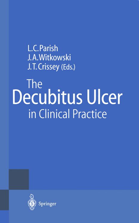 Produktbild: The Decubitus Ulcer in Clinical Practice
