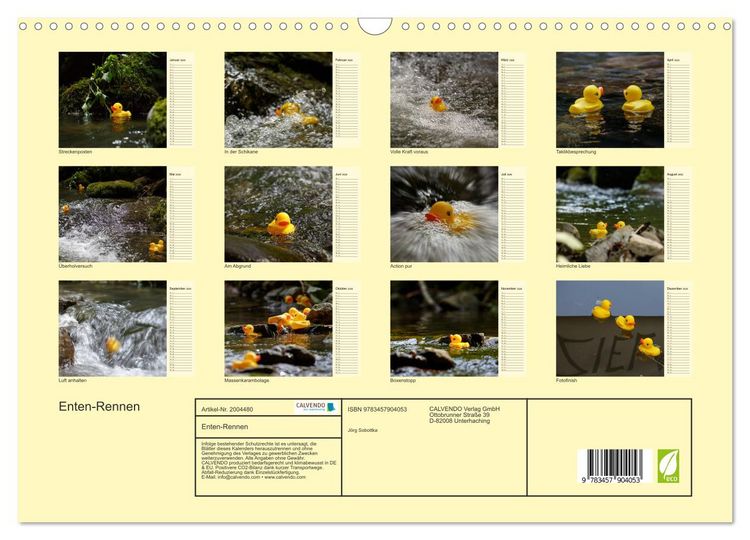 Produktbild: Enten-Rennen (Wandkalender 2026 DIN A3 quer), CALVENDO Monatskalender