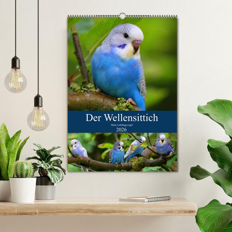 Produktbild: Der Wellensittich - Mein Lieblingsvogel (Wandkalender 2026 DIN A2 hoch), CALVENDO Monatskalender