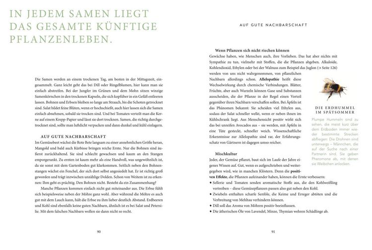 Produktbild: Das gr&uuml;ne Wunder