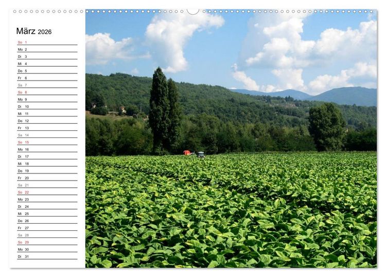 Produktbild: Camino di Assisi - Franziskusweg (Wandkalender 2026 DIN A2 quer), CALVENDO Monatskalender