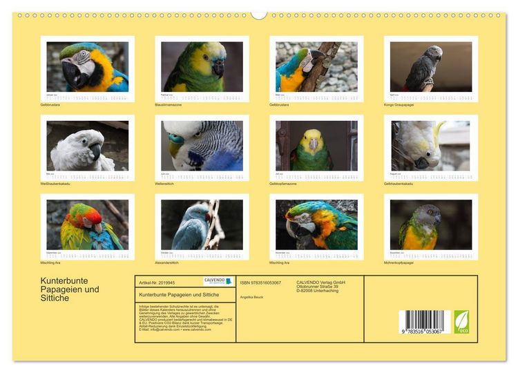 Produktbild: Kunterbunte Papageien und Sittiche (hochwertiger Premium Wandkalender 2026 DIN A2 quer), Kunstdruck in Hochglanz