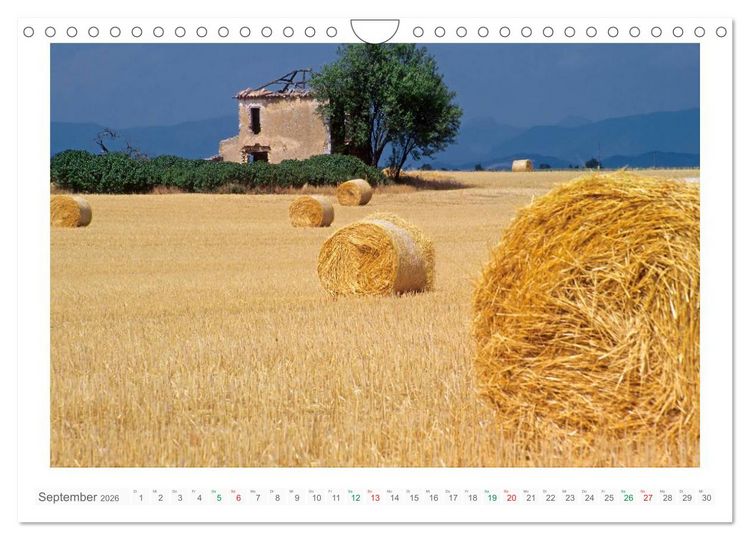 Produktbild: Farbenfrohe Provence (Wandkalender 2026 DIN A4 quer), CALVENDO Monatskalender