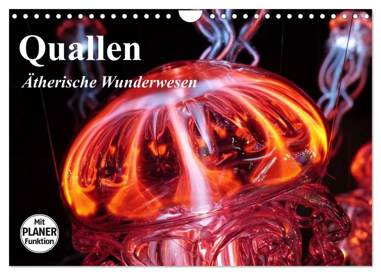 Produktbild: Quallen. &Auml;therische Wunderwesen (Wandkalender 2026 DIN A4 quer), CALVENDO Monatskalender