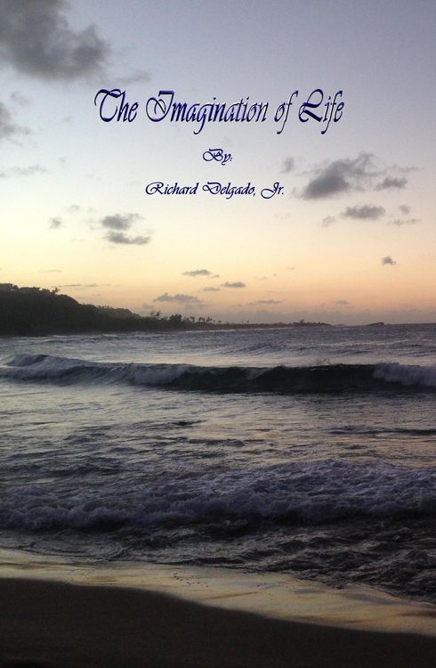 Produktbild: The Imagination Of Life