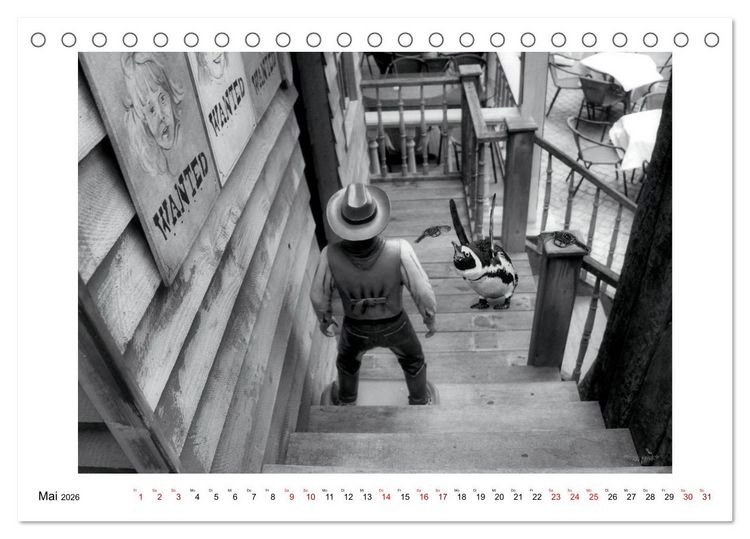 Produktbild: Pinguine privat (Tischkalender 2026 DIN A5 quer), CALVENDO Monatskalender