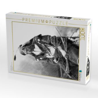 Produktbild: CALVENDO Puzzle Die Sehne klingt.... | 1000 Teile Lege-Gr&ouml;&szlig;e 64x48cm Foto-Puzzle f&uuml;r gl&uuml;ckliche Stunden