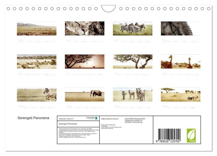 Produktbild: Serengeti Panorama (Wandkalender 2026 DIN A4 quer), CALVENDO Monatskalender