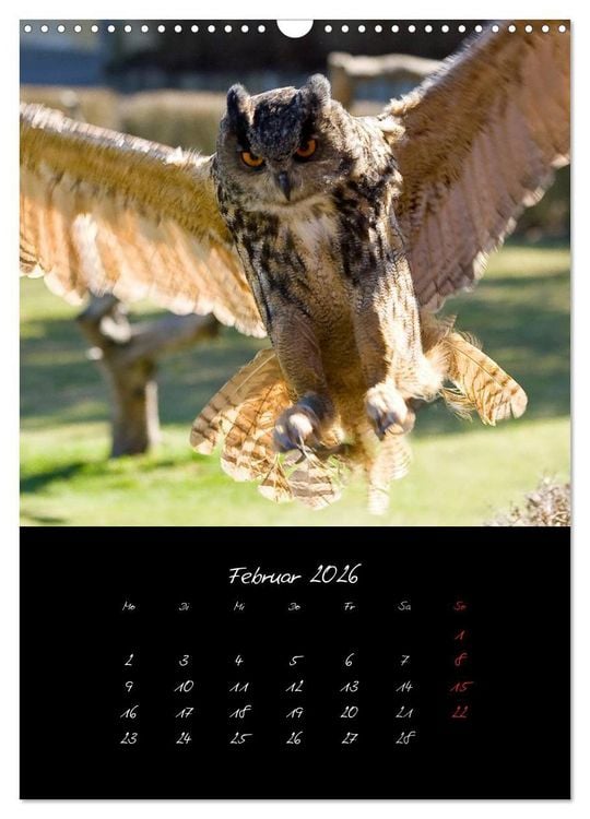 Produktbild: Tiere (Wandkalender 2026 DIN A3 hoch), CALVENDO Monatskalender