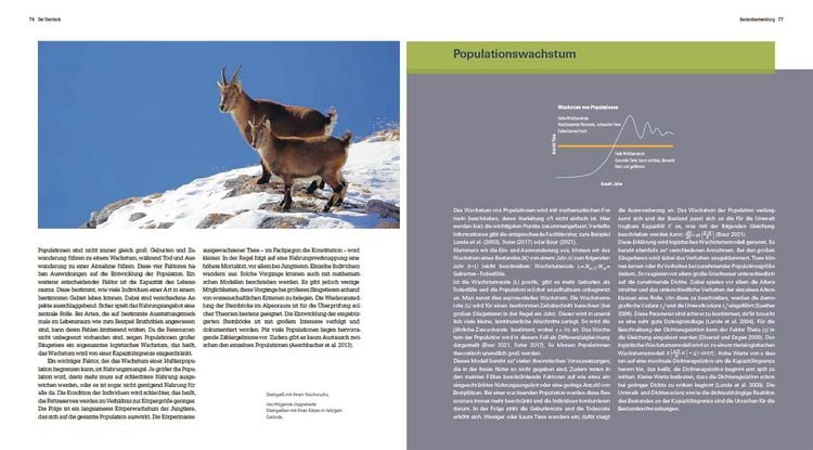 Produktbild: Der Steinbock