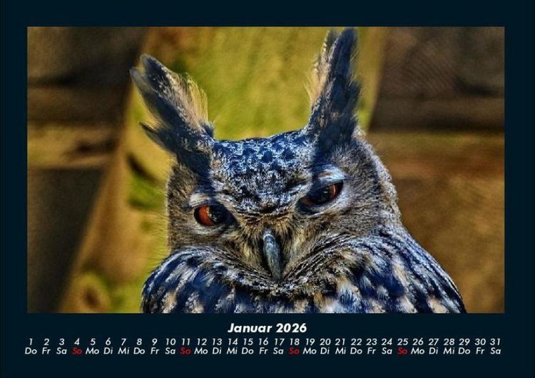 Produktbild: Welt der V&ouml;gel 2026 Fotokalender DIN A4