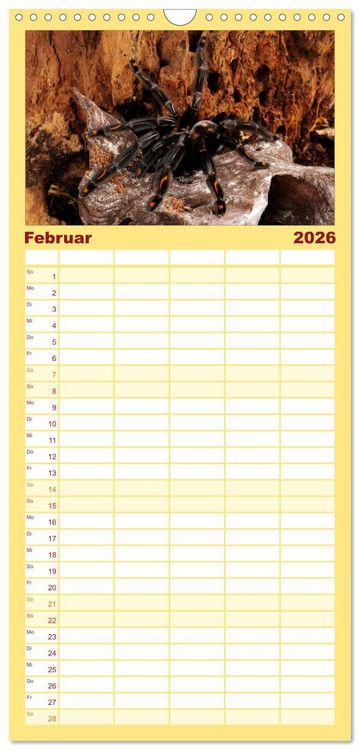 Produktbild: Familienplaner 2026 - Vogelspinnen - Tarantulas mit 5 Spalten (Wandkalender, 21 x 45 cm) CALVENDO