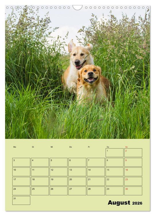 Produktbild: Jahresplaner Golden Retriever (Wandkalender 2026 DIN A3 hoch), CALVENDO Monatskalender