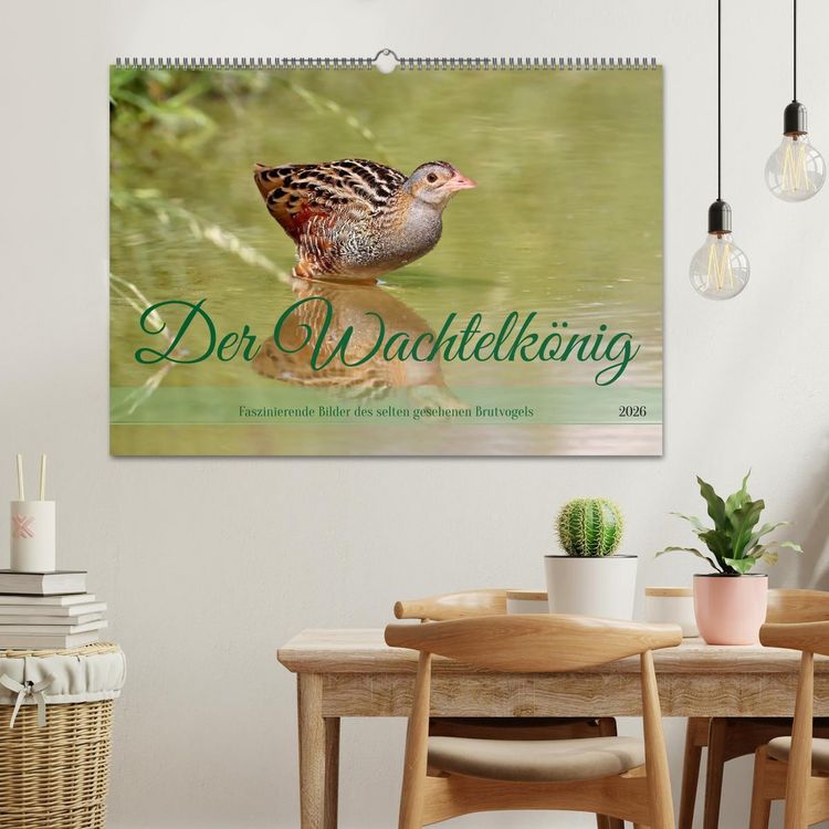 Produktbild: Der Wachtelk&ouml;nig (Wandkalender 2026 DIN A2 quer), CALVENDO Monatskalender