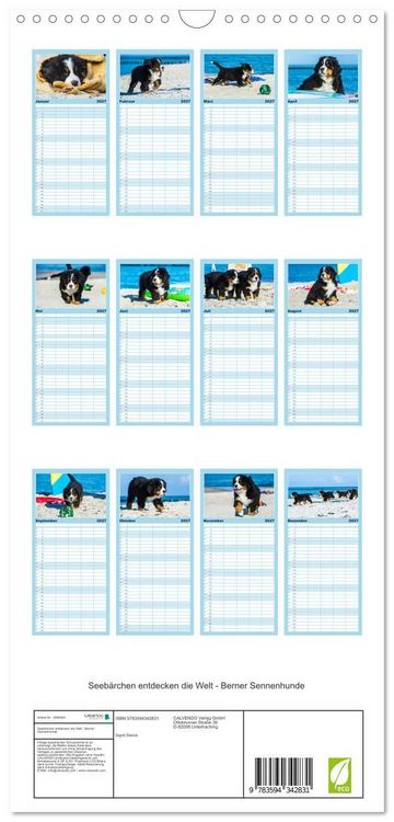 Produktbild: Familienplaner 2027 - Seeb&auml;rchen entdecken die Welt - Berner Sennenhunde mit 5 Spalten (Wandkalender, 21 x 45 cm) CALVENDO