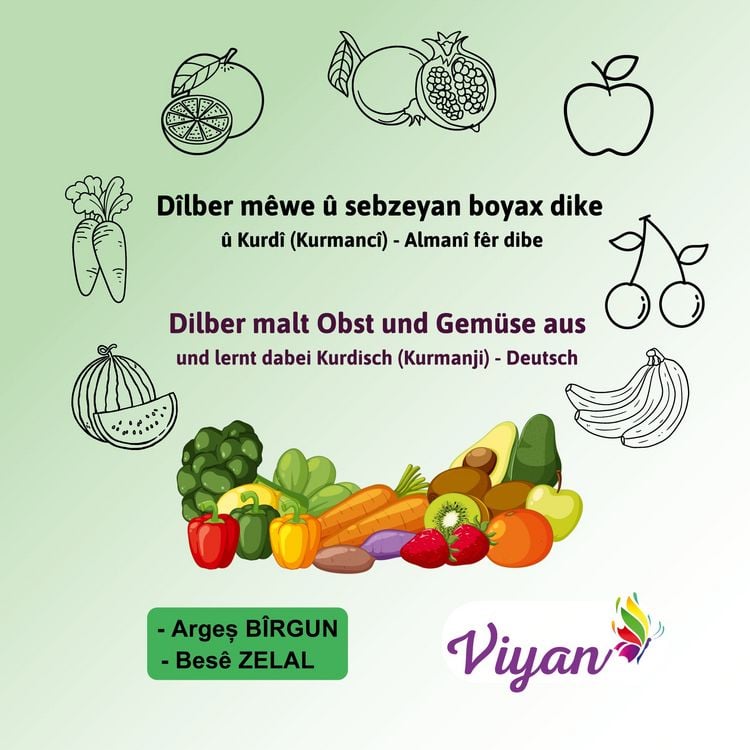Produktbild: D&icirc;lber m&ecirc;we &ucirc; sebzeyan boyax dike &ucirc; Kurd&icirc; (Kurmanc&icirc;) - Alman&icirc; f&ecirc;r dibe
