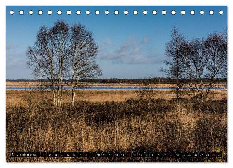 Produktbild: Worpswede - K&uuml;nstlerdorf unter weitem Himmel (Tischkalender 2026 DIN A5 quer), CALVENDO Monatskalender