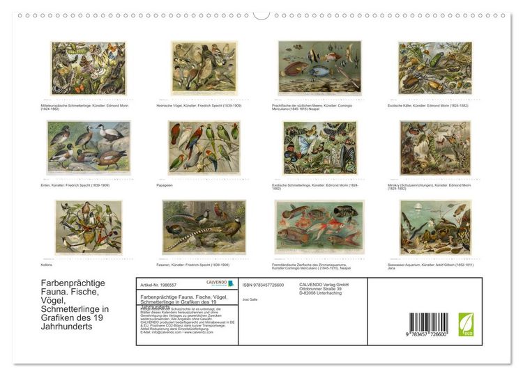 Produktbild: Farbenpr&auml;chtige Fauna. Fische, V&ouml;gel, Schmetterlinge in Grafiken des 19 Jahrhunderts (hochwertiger Premium Wandkalender 2026 DIN A2 quer), Kunstdruck in Hochglanz