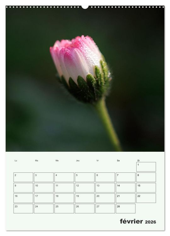 Produktbild: Fleurs en toute simplicit&eacute; - Beaut&eacute; minimaliste (Calendrier mural 2026 DIN A2 horizontal) calendrier de bureau
