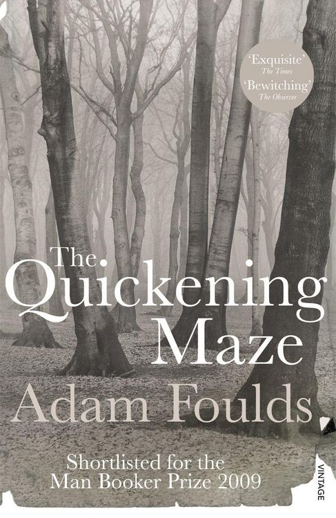 Produktbild: The Quickening Maze