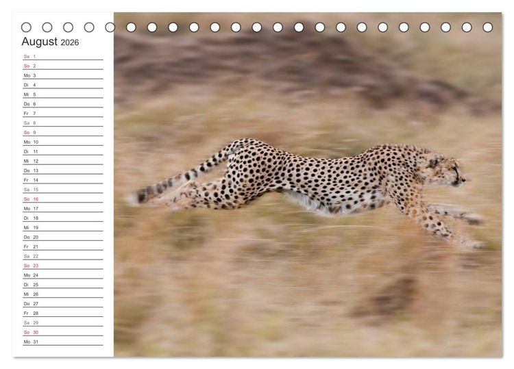 Produktbild: Emotionale Momente: Mein wildes Afrika (Tischkalender 2026 DIN A5 quer), CALVENDO Monatskalender