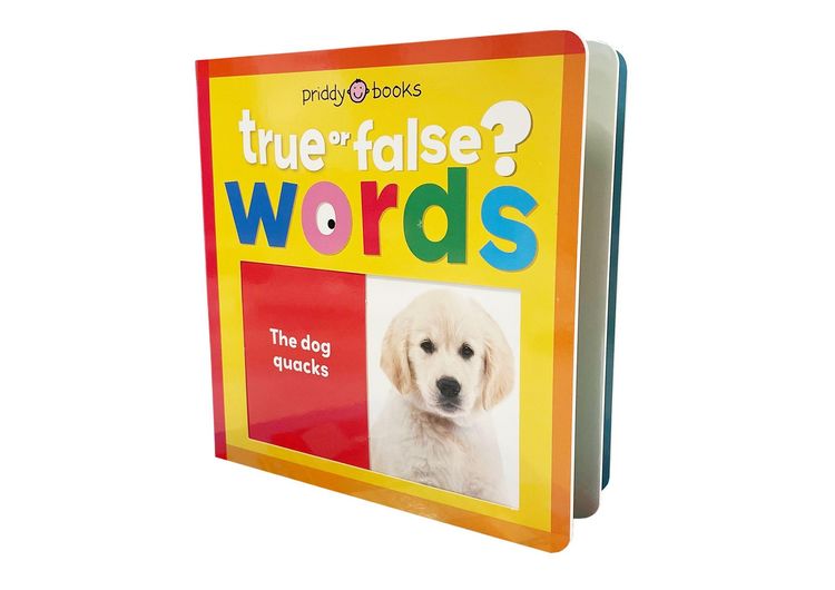 Produktbild: Words (True or False?)