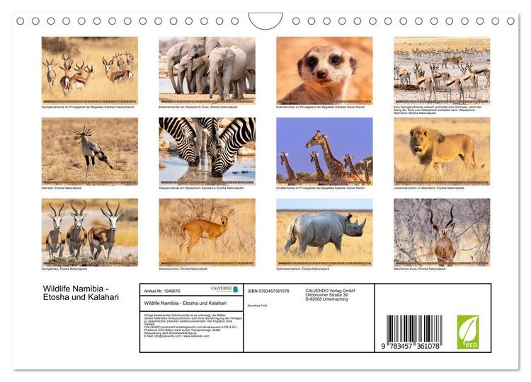 Produktbild: Wildlife Namibia - Etosha und Kalahari (Wandkalender 2026 DIN A4 quer), CALVENDO Monatskalender