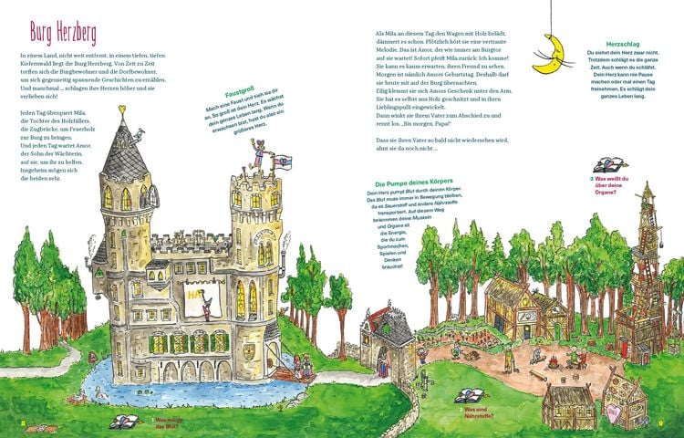 Produktbild: Burg Herzberg &ndash; Bitte klopfen!