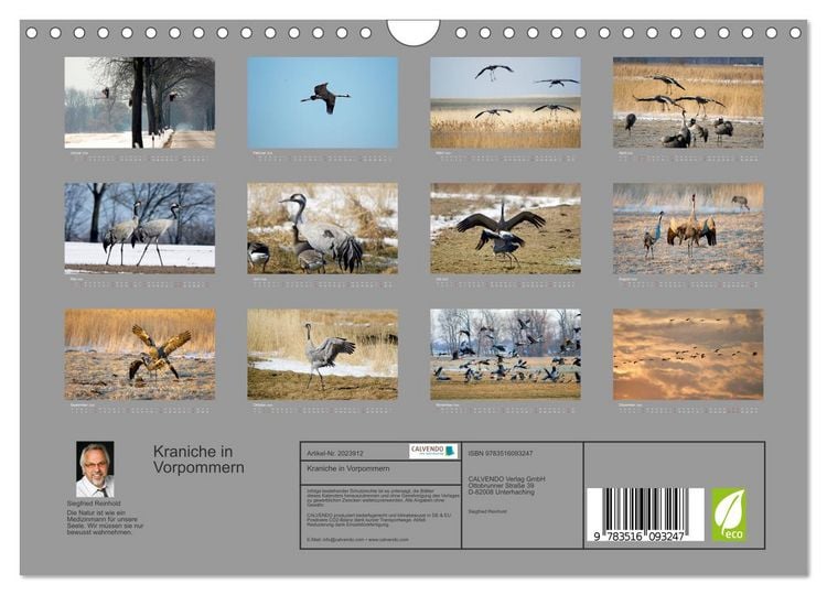 Produktbild: Kraniche in Vorpommern (Wandkalender 2026 DIN A4 quer), CALVENDO Monatskalender
