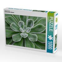 Produktbild: CALVENDO Puzzle Sukkulenten Galerie 1000 Teile Lege-Gr&ouml;&szlig;e 64 x 48 cm Foto-Puzzle Bild von Beate Wurster