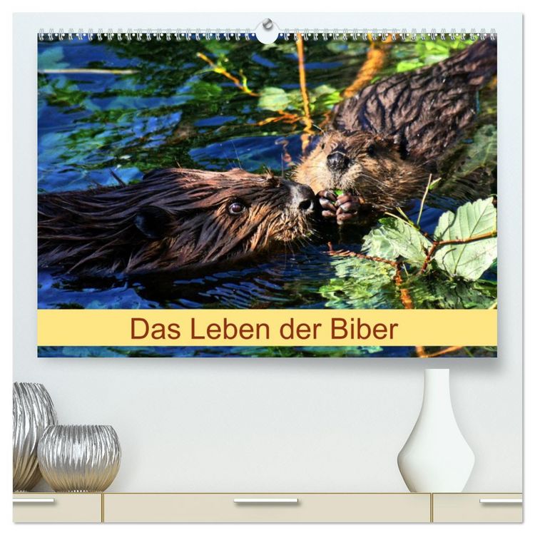 Produktbild: Das Leben der Biber (hochwertiger Premium Wandkalender 2026 DIN A2 quer), Kunstdruck in Hochglanz
