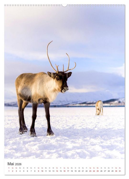 Produktbild: Finnland - Bezaubernde Sch&ouml;nheit. (hochwertiger Premium Wandkalender 2026 DIN A2 hoch), Kunstdruck in Hochglanz