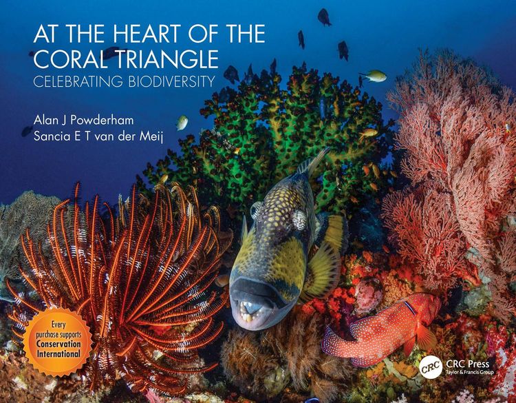 Produktbild: At the Heart of the Coral Triangle