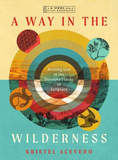Produktbild: A Way in the Wilderness