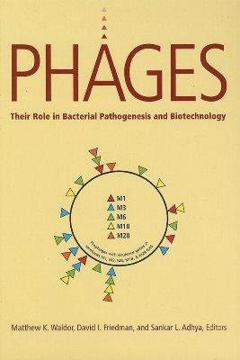 Produktbild: Phages: Their Role in Pathogen and Biotechnology