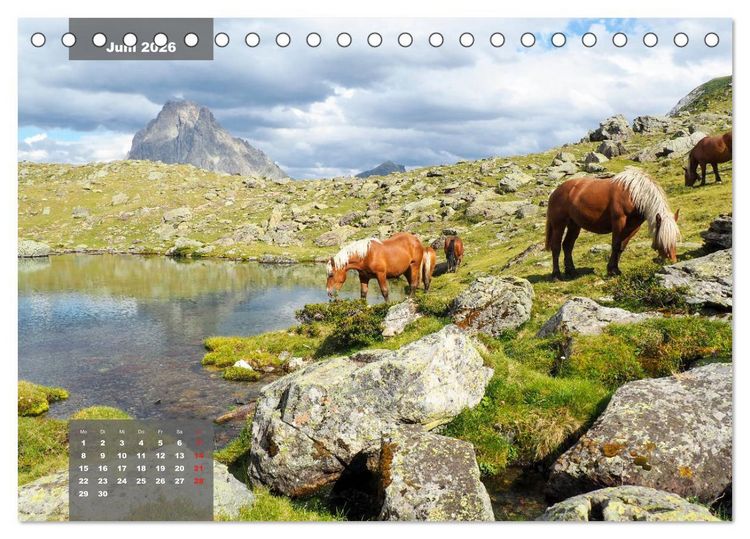Produktbild: Die wilden Pyren&auml;en (Tischkalender 2026 DIN A5 quer), CALVENDO Monatskalender