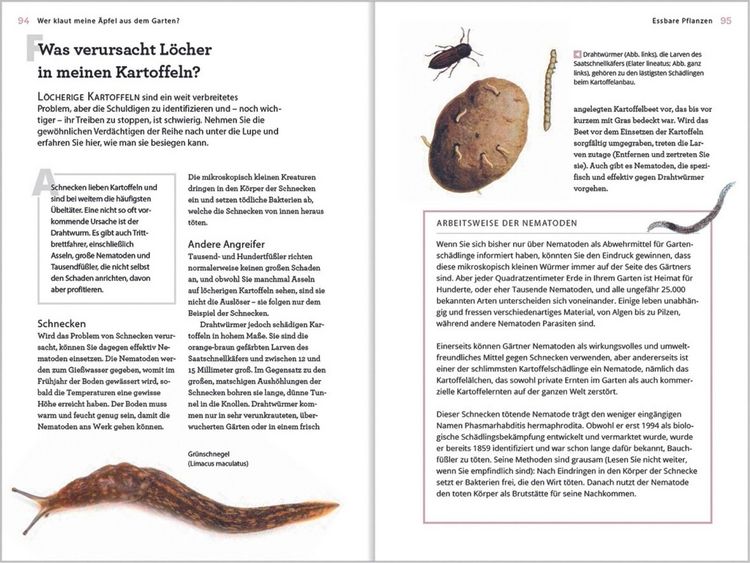 Produktbild: Wer klaut meine &Auml;pfel aus dem Garten