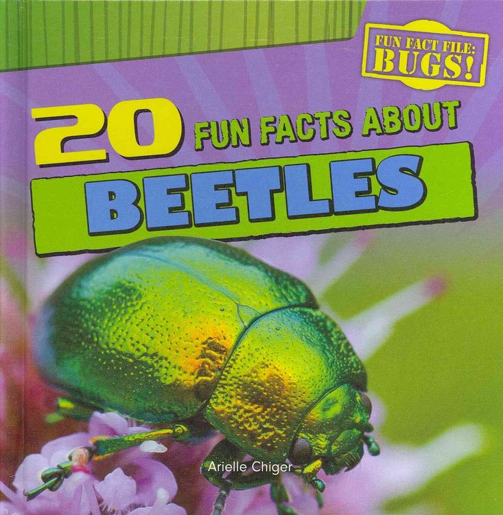 Produktbild: 20 Fun Facts Abt Beetles