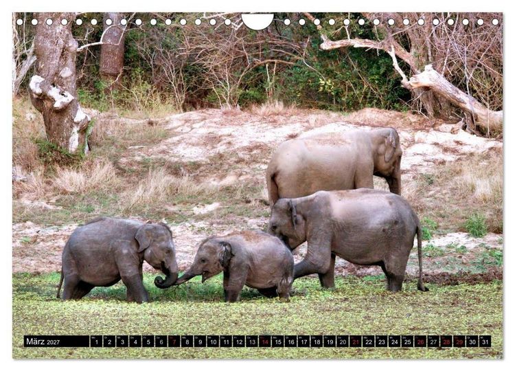 Produktbild: Sri Lanka - Highlights (Wandkalender 2027 DIN A4 quer), CALVENDO Monatskalender