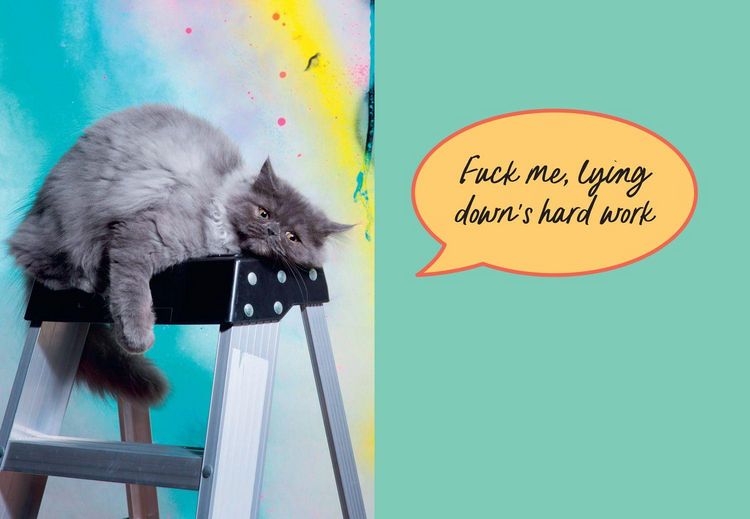 Produktbild: Sweary Cats