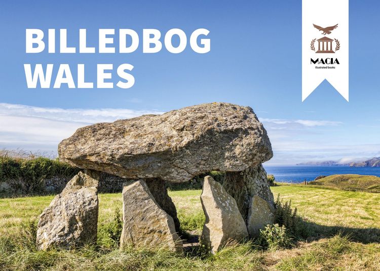 Produktbild: Billedbog Wales