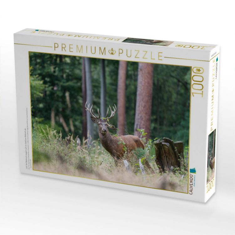 Produktbild: CALVENDO Puzzle Juli: Der Beihirsch reagiert sich im Wald am Geb&uuml;sch ab. | 1000 Teile Lege-Gr&ouml;&szlig;e 64x48cm Foto-Puzzle f&uuml;r gl&uuml;ckliche Stunden