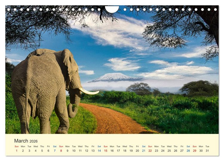 Produktbild: Wonderful Kenya (Wall Calendar 2026 DIN A4 landscape), CALVENDO 12 Month Wall Calendar