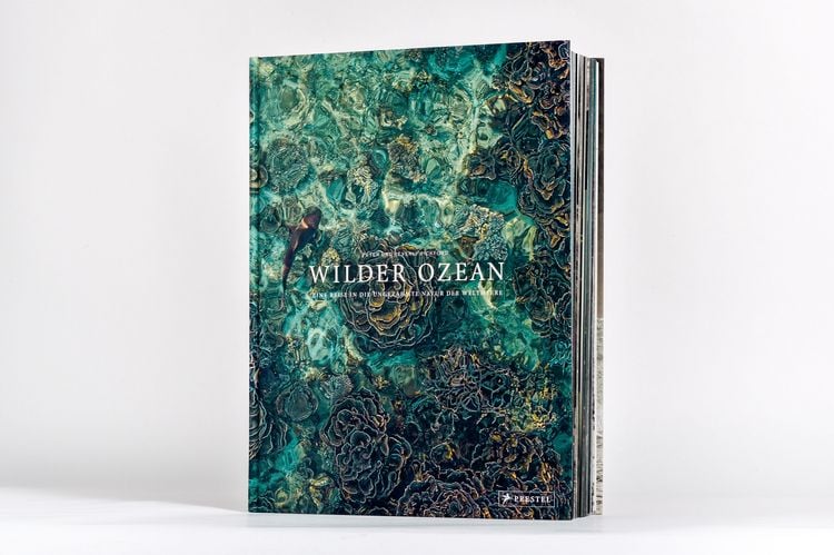 Produktbild: Wilder Ozean