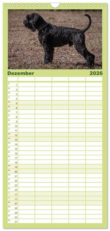 Produktbild: Familienplaner 2026 - Schnauzer... von Zwergen und Riesen 2026 mit 5 Spalten (Wandkalender, 21 x 45 cm) CALVENDO