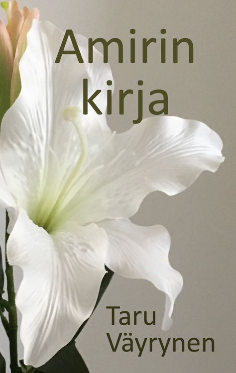 Produktbild: Amirin kirja
