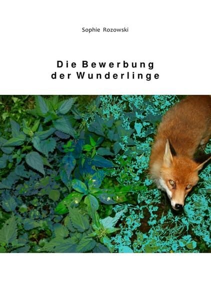 Produktbild: Die Bewerbung der Wunderlinge